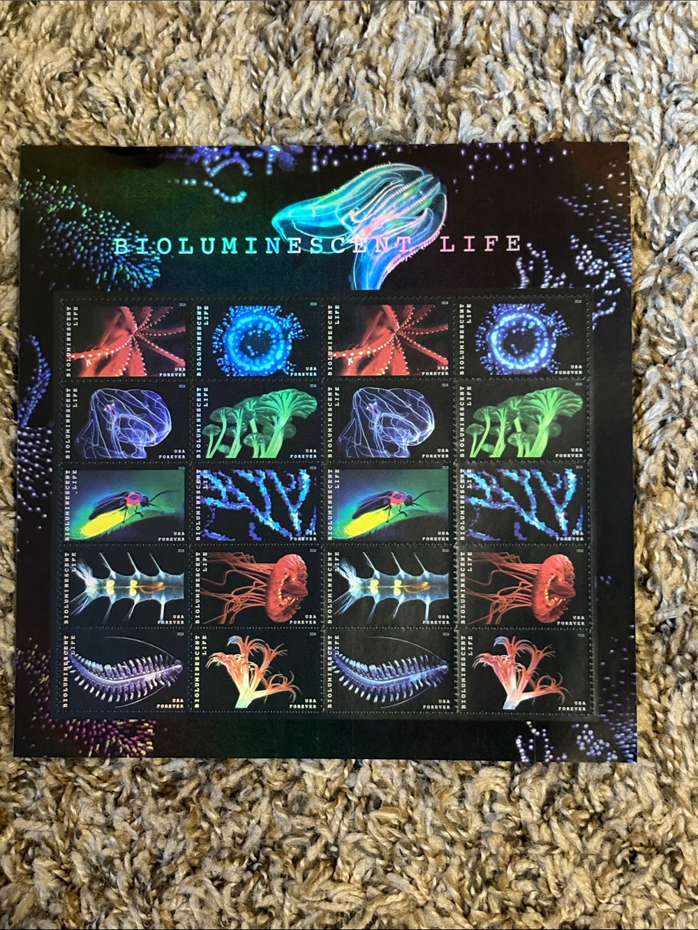 Bioluminescent Life Art Print - Vibrant Multicolor Wall Art